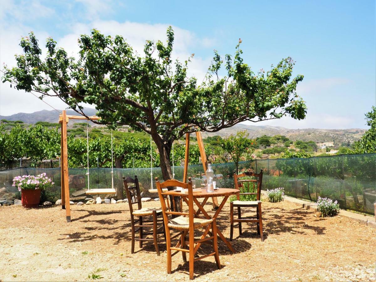 Traditional Cretan Villa Rodhopos エクステリア 写真